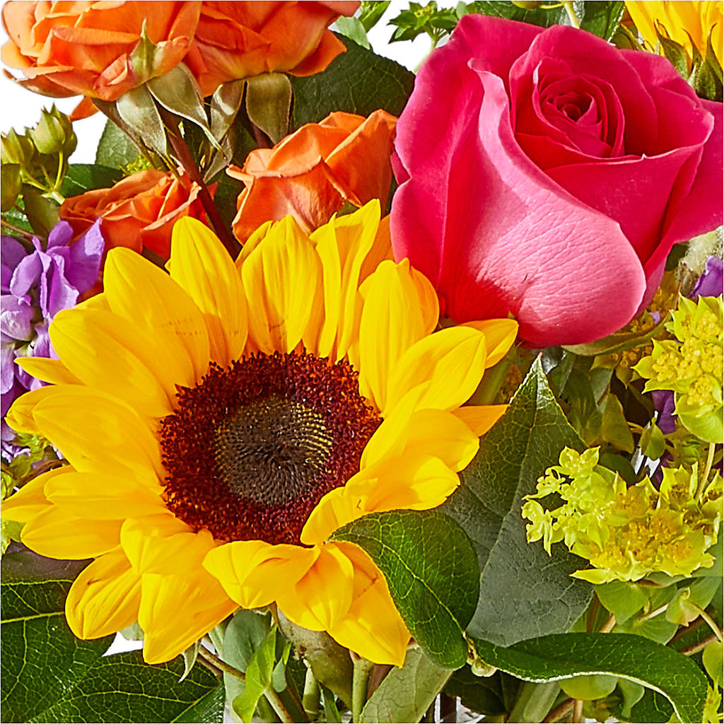 Vibrant Greetings Bouquet –  Gladrich Florist Shoppe, Punta Gorda FL