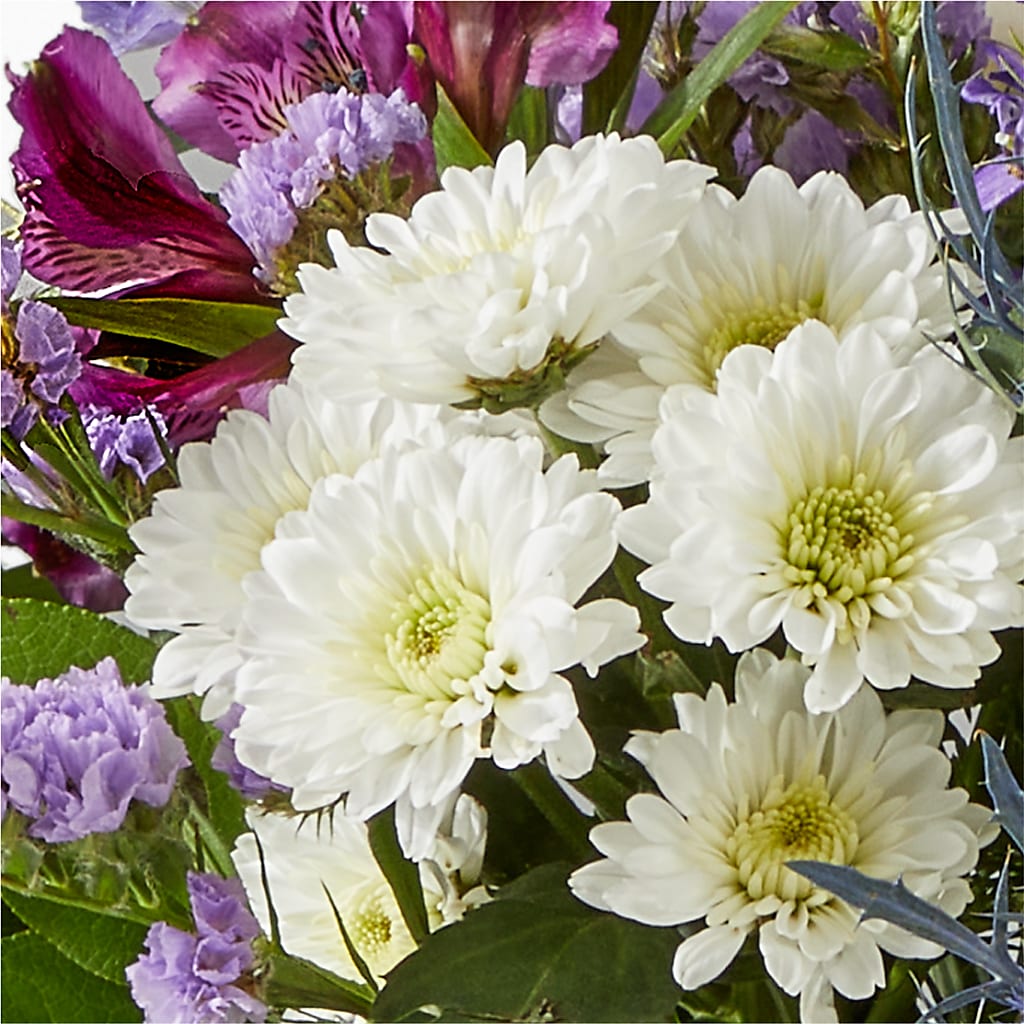 Shooting Star Bouquet –  Gladrich Florist Shoppe, Punta Gorda FL