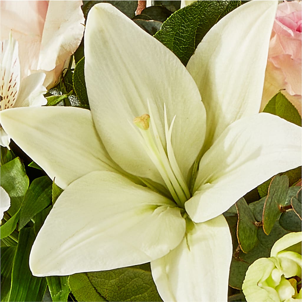 Ballet Slippers Bouquet –  Gladrich Florist Shoppe, Punta Gorda FL