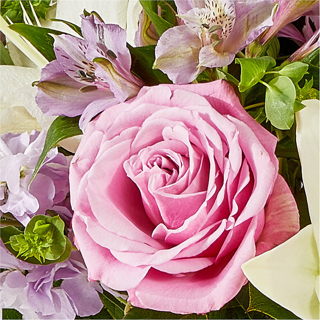 Daydreamer Bouquet –  Gladrich Florist Shoppe, Punta Gorda FL