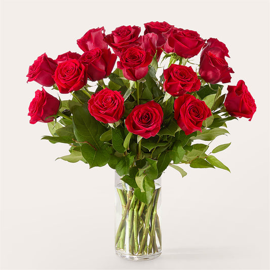 The One Red Rose Bouquet –  Gladrich Florist Shoppe, Punta Gorda FL