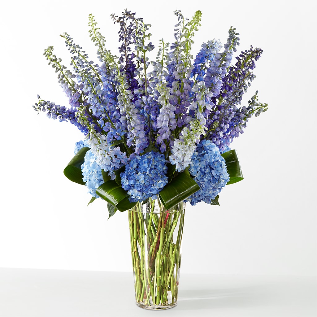 The Editorial –  Gladrich Florist Shoppe, Punta Gorda FL