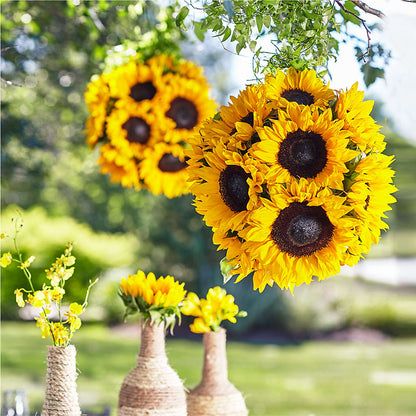 Sublime Garden Hanging Arrangement –  Gladrich Florist Shoppe, Punta Gorda FL