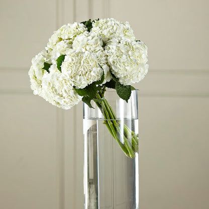 White Hydrangea Hand-Tied Bouquet –  Gladrich Florist Shoppe, Punta Gorda FL