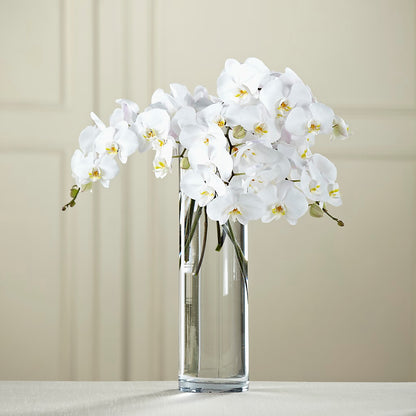 White Phalaenopsis Bouquet –  Gladrich Florist Shoppe, Punta Gorda FL
