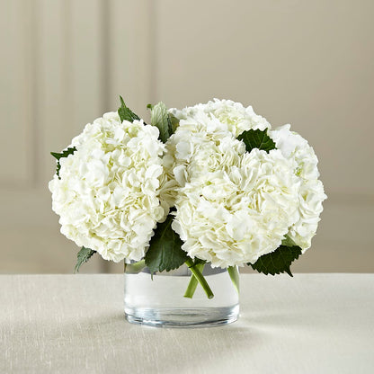 White Hydrangea Bouquet –  Gladrich Florist Shoppe, Punta Gorda FL